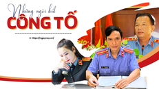 Những ngòi bút công tố