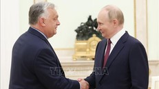Tổng thống Nga Vladimir Putin (phải) và Thủ tướng Hungary Viktor Orban tại cuộc gặp ở Moskva ngày 5/7/2024. Ảnh: Sputnik/TTXVN