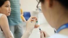 Ảnh minh họa: Minh Quyết/TTXVN