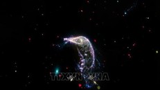 Bức ảnh chụp từ kính thiên văn không gian James Webb cho thấy hai thiên hà "Chim cánh cụt" và "Quả trứng" đang trong quá trình hợp nhất thành thiên hà Arp 142. Ảnh: REUTERS/TTXVN