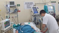 Bệnh nhân sốt xuất huyết nặng điều trị tại Bệnh viện Bạch Mai.