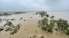 Lúc 7 giờ ngày 11/9, mực nước trên sông Hồng tại Hà Nội là 10,70m, trên báo động 2 là 0,20m (ảnh chụp lúc 7 giờ 50 ngày 11/9). Ảnh: Minh Quyết/TTXVN