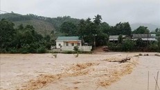 Bão số 4 gây ngập lụt 77 điểm tại một số tỉnh, thành miền Trung