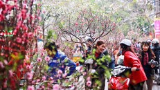 Bộ Nội vụ thống nhất nghỉ Tết Ất Tỵ 9 ngày. (Ảnh minh họa)