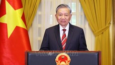 Chuyến công tác khẳng định đường lối đối ngoại độc lập, tự chủ, đa phương hoá, đa dạng hoá của Việt Nam