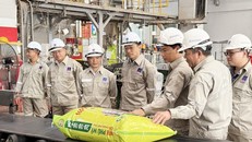 NPK Phú Mỹ 20-10-10+TE: “Thương hiệu Vàng nông nghiệp Việt Nam năm 2024”