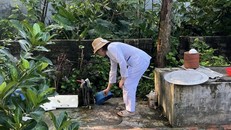 Hà Nội ghi nhận 403 ca mắc số xuất huyết trong tuần qua