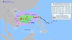 Chủ động ứng phó bão số 6 gây mưa lớn ở Trung Bộ và gió mạnh, sóng lớn trên biển