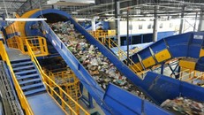 Sâu bột - Giải pháp xử lý rác thải nhựa