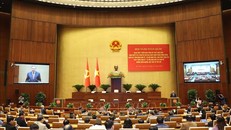 Tổng kết Nghị quyết số 18-NQ/TW: Nhiệm vụ của các ban đảng, ban cán sự đảng, đảng đoàn