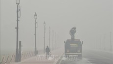 Ô nhiễm không khí làm tổn thương nghiêm trọng não bộ