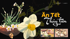 Ăn Tết thủy tiên