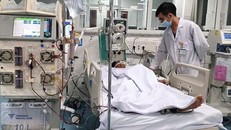 Vụ 33 học sinh nghi ngộ độc thuốc diệt chuột: Các em đã ổn định sức khỏe, không có trường hợp nặng