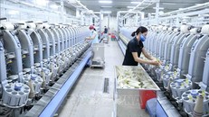 Tổ chức Đảng là chỗ dựa cho doanh nghiệp phát triển