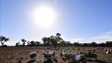 Nhiệt độ toàn cầu tiếp tục lập kỷ lục trong tháng đầu tiên của năm 2025