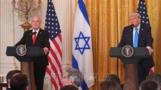 Nước cờ mạo hiểm 