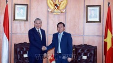 Tổng Bí thư Tô Lâm hội kiến Chủ tịch Hội đồng Đại biểu địa phương Indonesia