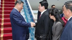 Tổng Bí thư, Chủ tịch nước Trung Quốc Tập Cận Bình đến Hà Nội, bắt đầu chuyến thăm cấp Nhà nước tới Việt Nam