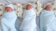 Cấp cứu và nuôi dưỡng thành công ca tam thai sinh non