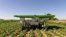 Diệt cỏ dại bằng robot AI - Tương lai của ngành nông nghiệp