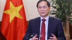 Tạo nền tảng vững chắc đưa quan hệ song phương giữa Việt Nam và các nước lên tầm cao mới