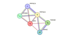 Phát hiện đột biến gene giúp con người sống khỏe với chỉ ngủ 3 giờ mỗi đêm