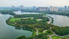 Cây xanh trong Công viên Yên Sở, Hà Nội. (Ảnh: Tuấn Anh/TTXVN)