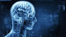 Phát hiện mới về cách hoạt động của não người