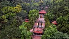 Bảo tồn, trao truyền giá trị Khu di tích Côn Sơn - Kiếp Bạc