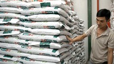 PVFCCo – Phú Mỹ ra mắt Hữu cơ Phú Mỹ Organic, hoàn thiện “Bộ ba vàng” dinh dưỡng cho nông nghiệp bền vững