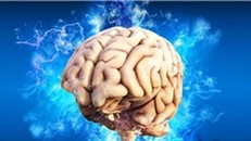 Não người "tăng ca" ban đêm để đốt mỡ, ngăn tụt đường huyết