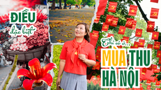 Những điều đặc biệt chỉ có ở mùa thu Hà Nội