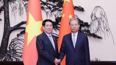 Chủ tịch nước Lương Cường hội kiến Ủy viên trưởng Nhân đại toàn quốc Trung Quốc Triệu Lạc Tế.