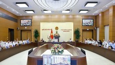 Ủy ban Thường vụ Quốc hội biểu quyết. 