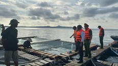 Những việc nên làm và chủ động phòng tránh trước khi bão đổ bộ vào đất liền