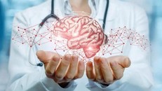 Não bộ cũng "chạy" bằng chất béo