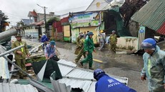 Khung cảnh tan hoang sau bão ở xã Hoằng Giang, Thanh Hóa . 