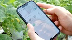 Đột phá theo Nghị quyết 57: Đầu tư mạnh mẽ cho hạ tầng số