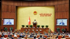 Quốc hội làm việc tại nghị trường. 