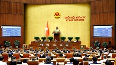 Quốc hội làm việc tại hội trường. 