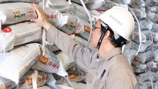 PVFCCo – Phú Mỹ: Năm 2025 ước vượt doanh thu 16.000 tỷ đồng