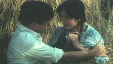 Cảnh nóng 'thiêu đốt màn ảnh' của Lê Công Tuấn Anh và Thu Hà