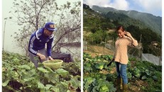 Rộ tin Vĩnh Thụy về ra mắt gia đình Hoàng Thùy Linh