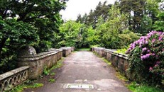 Giải mã cầu ‘ma’ khiến hàng loạt chú chó ‘tự tử’