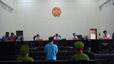 Vụ án 'con ruồi trị giá 500 triệu', bị cáo lĩnh án 7 năm tù