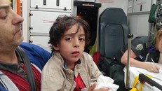 Chuột khổng lồ tấn công bé trai khi đang ngủ