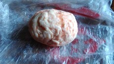 Phát hiện báu vật trị giá 1,7 tỷ đồng trong ruột lợn