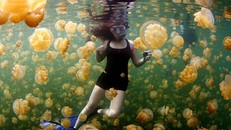 Những bức ảnh thiên nhiên ấn tượng nhất năm 2015