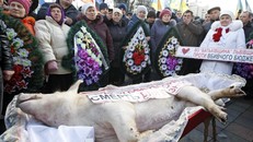 Xem người biểu tình Ukraine tổ chức tang lễ cho lợn