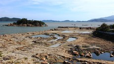 Xót cho vịnh Nha Trang!